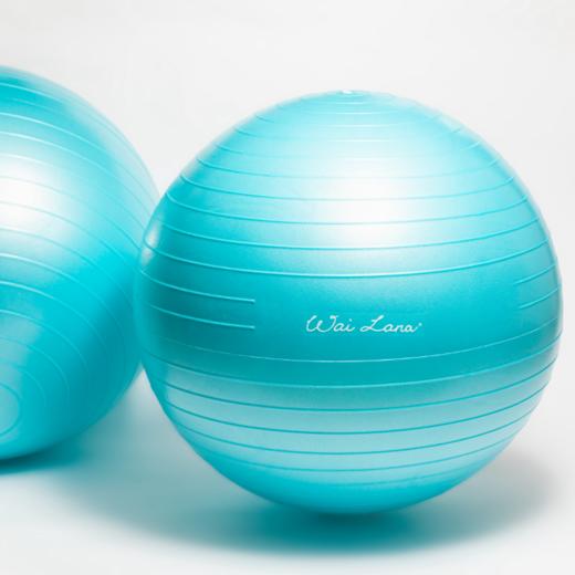 蕙兰瑜伽 健身瑜伽球55CM（大） 商品图1