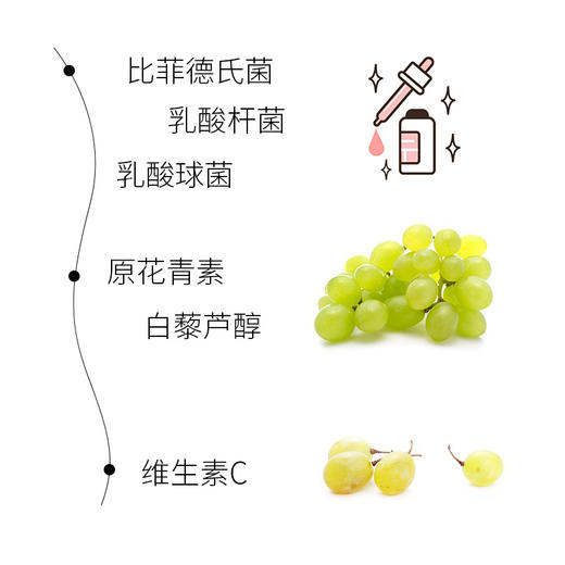 Bio-E小金瓶酵母原液精华50ml 商品图2