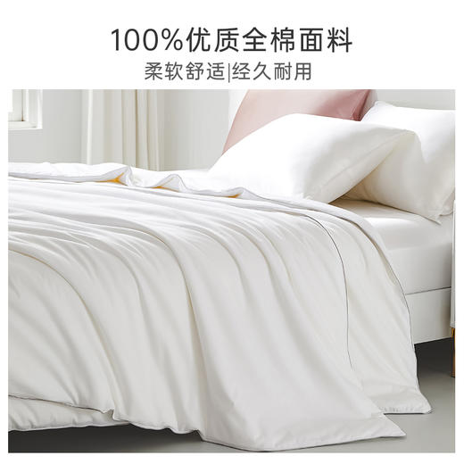 太湖雪100%桑蚕长丝被 子母被 商品图0