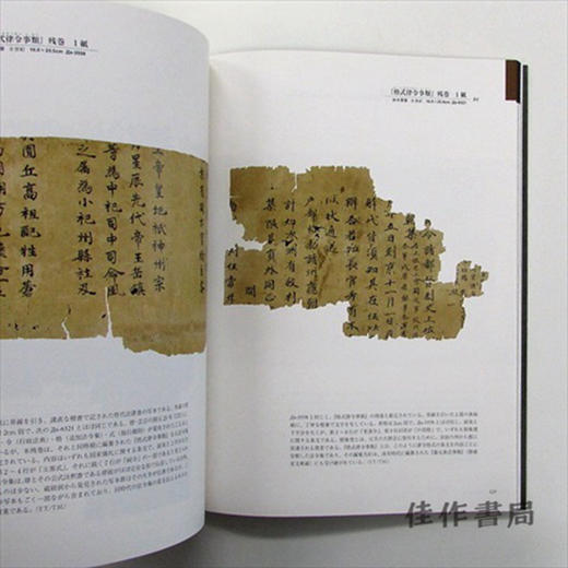 シルクロード文字を辿って / 追寻着丝绸之路的文字 商品图2