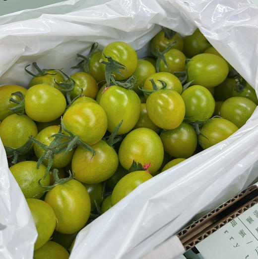 【青霞千禧】绿千禧，口感甜，皮薄，特别好吃，补充维生素，家里小朋友的零食水果！ 商品图2