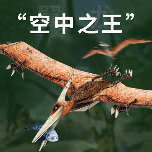 迪杰熊3D立体拼插恐龙模型 商品图4