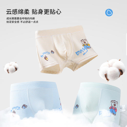 【4条装】【110，150，160】【5A抑菌网眼透气】男童清爽网眼透气内裤精典泰迪 商品图3