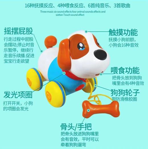 超级萌宠音乐拉线狗 商品图1