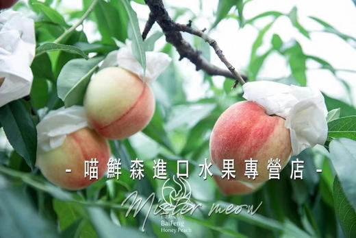 🛵金秋红蜜水蜜桃【软甜】 商品图5