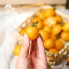 生态圣女果 | 合作生产 *Eco- tomato | Coprodution 商品缩略图5