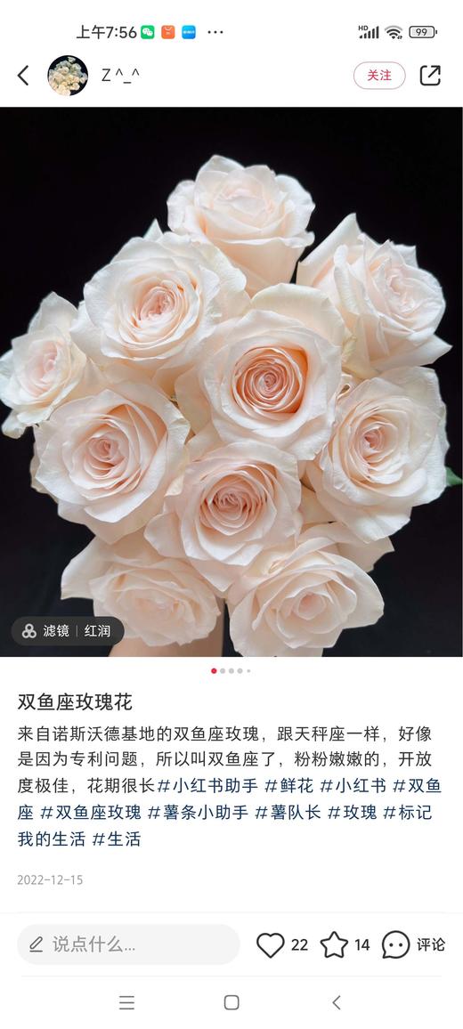 双柏双鱼座60公分 商品图1