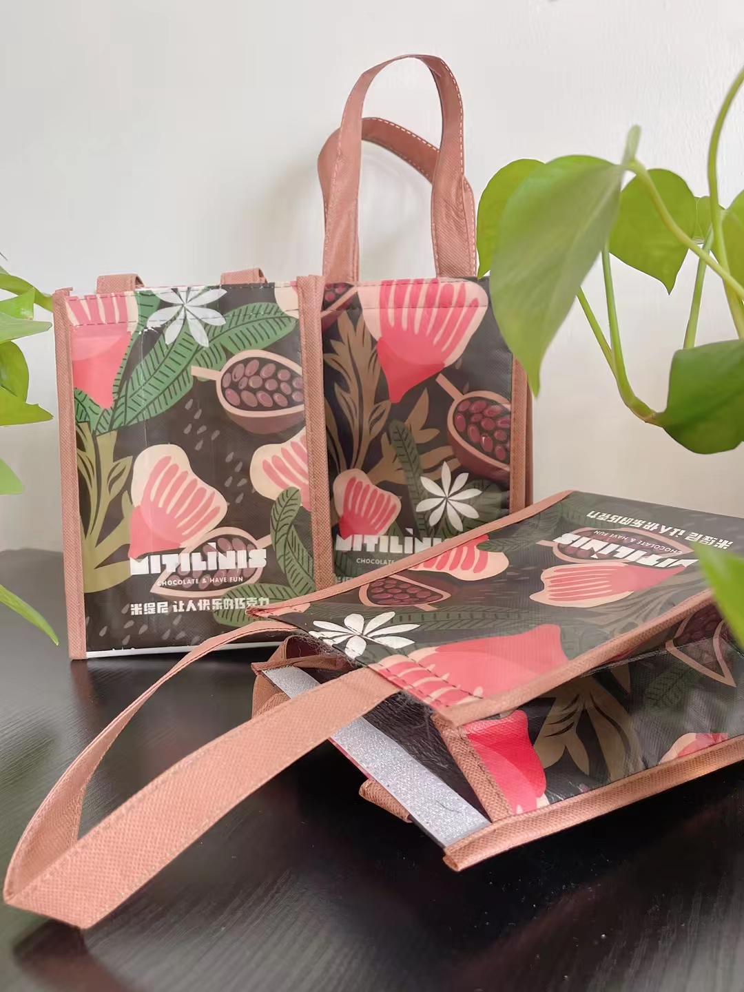 蒂奥莎专属周边，保温袋