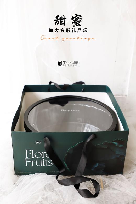 经典大号方形手提袋（2个/包） 商品图2