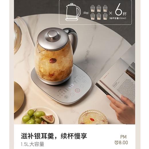 Joyoung/九阳门店新款316L养生壶1.5升泡茶壶家用煮茶壶烧水壶电水壶WY380 商品图2