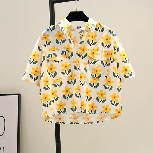 女衬衫3309 商品图4