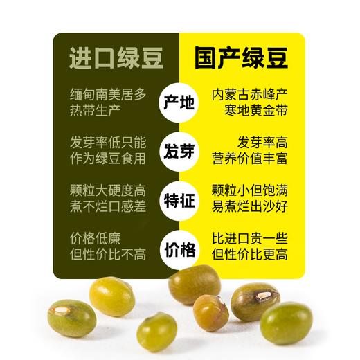 有机营养赤峰有机绿豆 商品图5