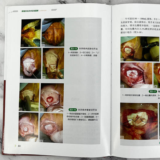 家畜外科手术彩色图解（扫码看视频） 商品图4
