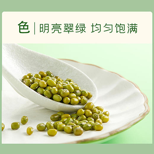 古驿七台爱心绿豆1kg/盒 商品图2