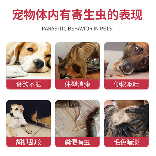 普安特狗狗体内驱虫药打虫药片猫咪芬苯达唑片宠物用除虫普拿杜 商品图3