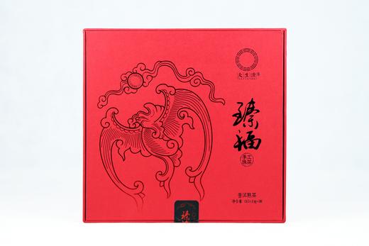 天生源臻福2019年（熟）285g 商品图0