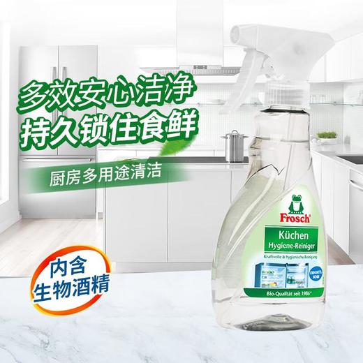 Frosch福纳丝 环保冰箱洁净除味喷剂300ml 商品图0