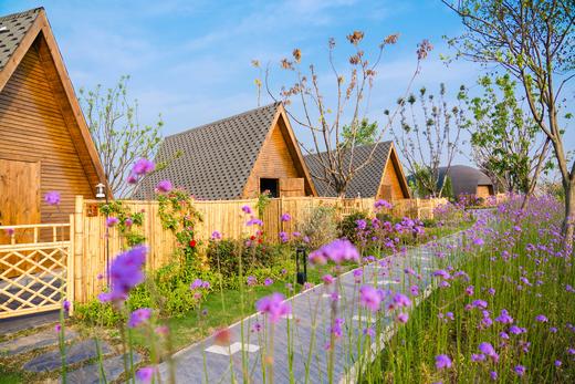 【大邑-491号民宿】单房预定，12房临湖泳池民宿，三面环湖可垂钓/钓鱼，湿地公园，看夕阳日落的美xhyd 商品图3