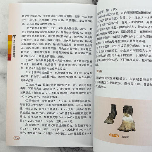 养驴家庭农场致富指南 商品图6