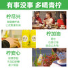 佳果源100%小青柠汁0脂复合果汁高端饮料整箱小瓶装280g*9瓶 商品缩略图2