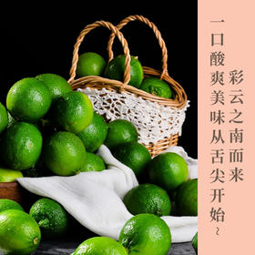 云南塔希提香水柠檬    适合泡水手打柠檬茶泡鸡脚    酸度高  自带清香