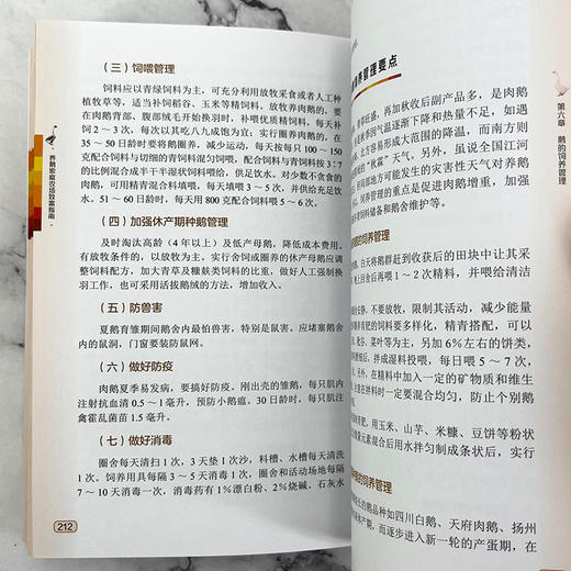 养鹅家庭农场致富指南 商品图5