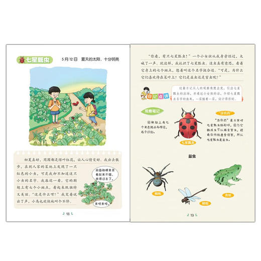 漫画版科学观察日记/9787570447589 商品图4