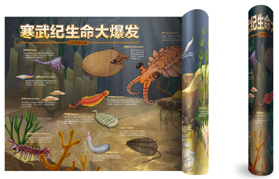 寒武纪生命大爆发海报 1.5m*0.8m！