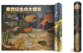 寒武纪生命大爆发海报 1.5m*0.8m！
