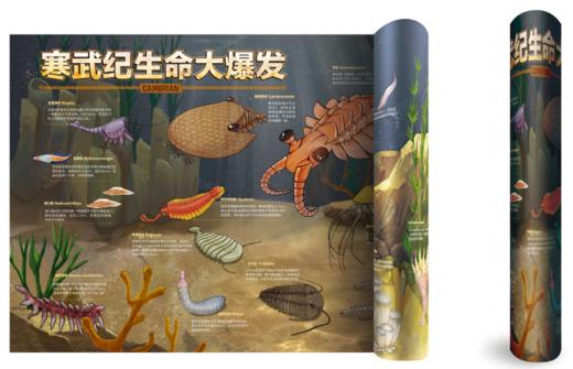 寒武纪生命大爆发海报 1.5m*0.8m！ 商品图0