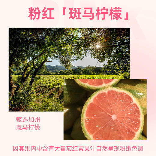 佳果源100%小粉柠复合柠檬汁果汁0脂饮料整箱佳农小瓶装250g*9瓶 商品图1