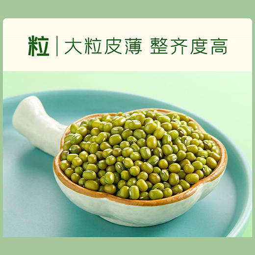 古驿七台爱心绿豆1kg/盒 商品图4