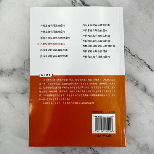 养鹅家庭农场致富指南 商品图3