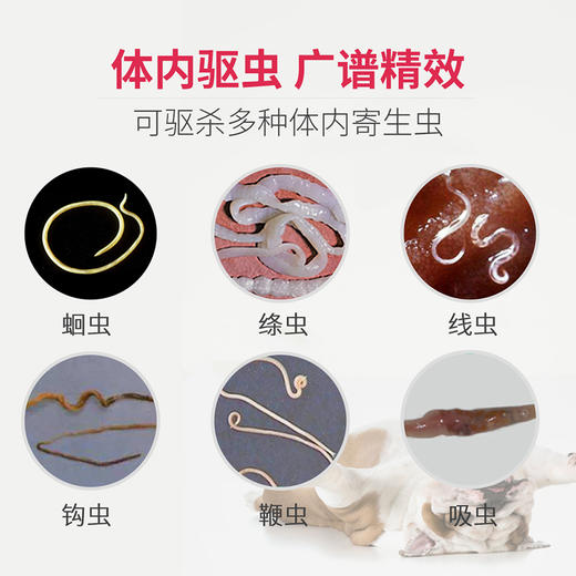 普安特狗狗体内驱虫药打虫药片猫咪芬苯达唑片宠物用除虫普拿杜 商品图1