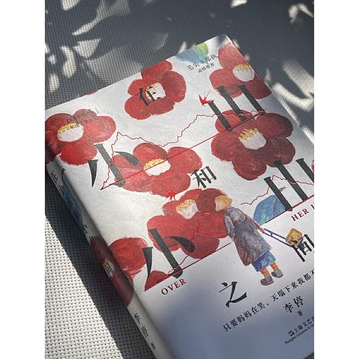 在小山和小山之间（妈妈能给的爱，就是一次又一次得体地退出我的生命。毛尖、郑执动情推荐）(李停) 商品图1