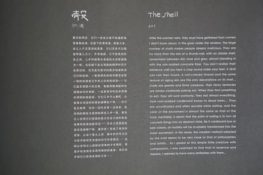 《壳  The Shell》张涛摄影集/河北美术出版社 商品图6