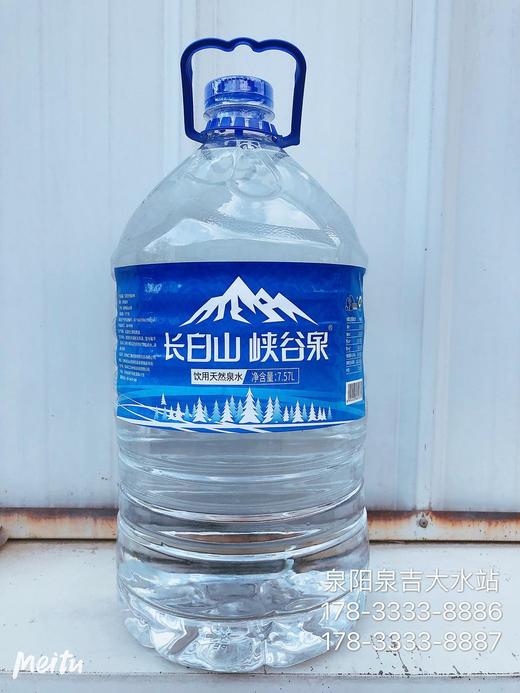 泉阳泉~峡谷泉7.57升一次性包装水 商品图1