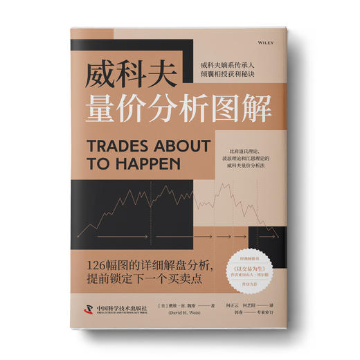 威科夫量价分析图解 商品图2
