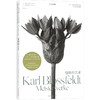 植物的艺术：卡尔·布洛斯菲尔德 摄影画册，70幅经典黑白植物摄影照片 摄影史上的里程碑式作品 商品缩略图6