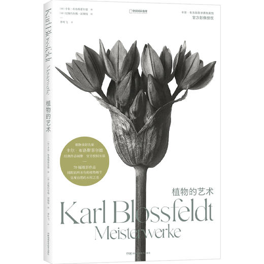 植物的艺术：卡尔·布洛斯菲尔德 摄影画册，70幅经典黑白植物摄影照片 摄影史上的里程碑式作品 商品图6