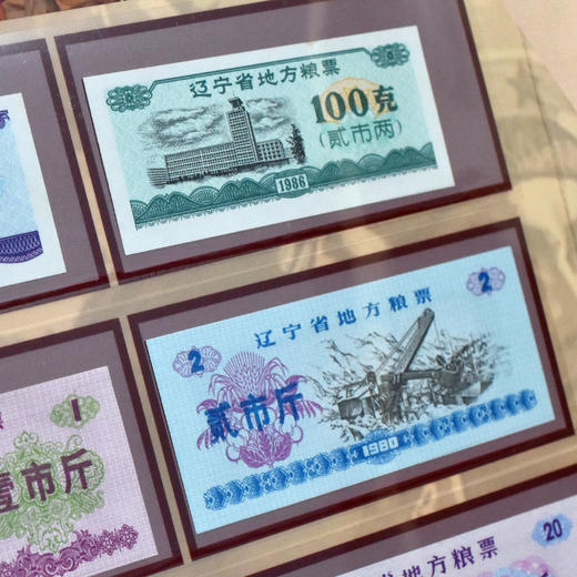 《中华票证大全》粮票、布票、生活票证精品 商品图3