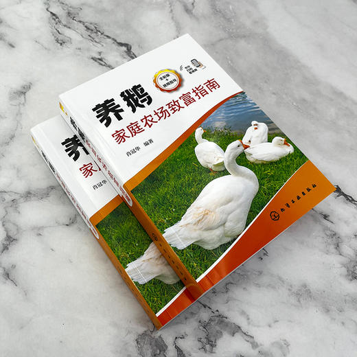 养鹅家庭农场致富指南 商品图4