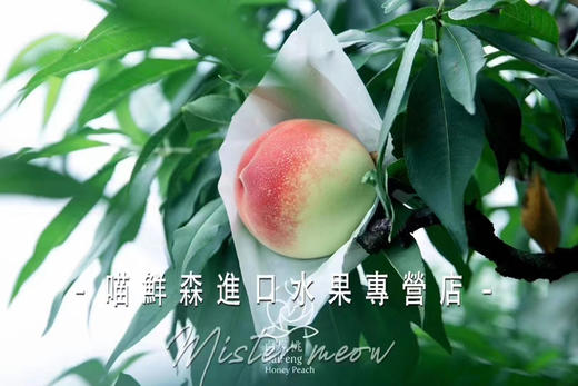 🛵金秋红蜜水蜜桃【软甜】 商品图4