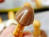 日本明治蘑菇造型原味巧克力72g 商品缩略图1