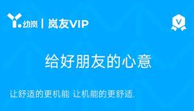 岚友VIP礼品卡