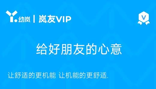 岚友VIP礼品卡 商品图0
