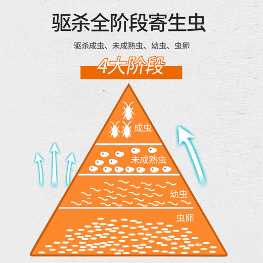 普安特狗狗体内驱虫药打虫药片猫咪芬苯达唑片宠物用除虫普拿杜 商品图2