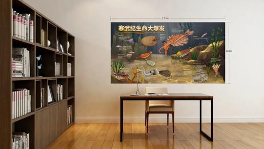 寒武纪生命大爆发海报 1.5m*0.8m！ 商品图1