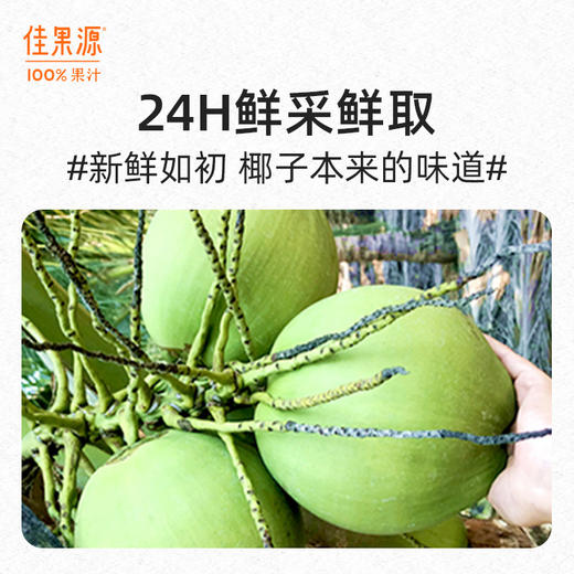 佳果源泰国原装进口椰子水孕妇NFC饮料整箱大瓶装1L*4瓶 商品图1