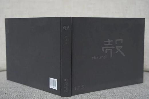 《壳  The Shell》张涛摄影集/河北美术出版社 商品图14